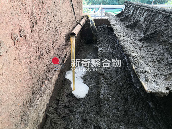 ������h�B(y��ng)ֳ������x��